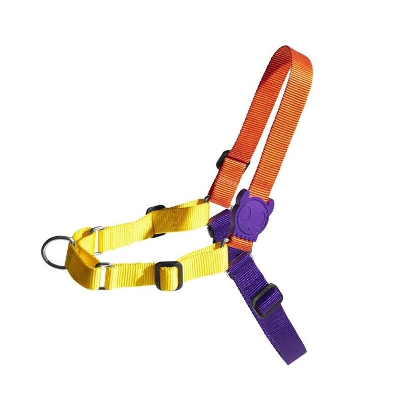ZeeDog Soft-Walk Harness for Dogs – Pump