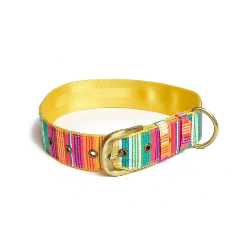 PetWale Belt Collar – Colourful Stripes