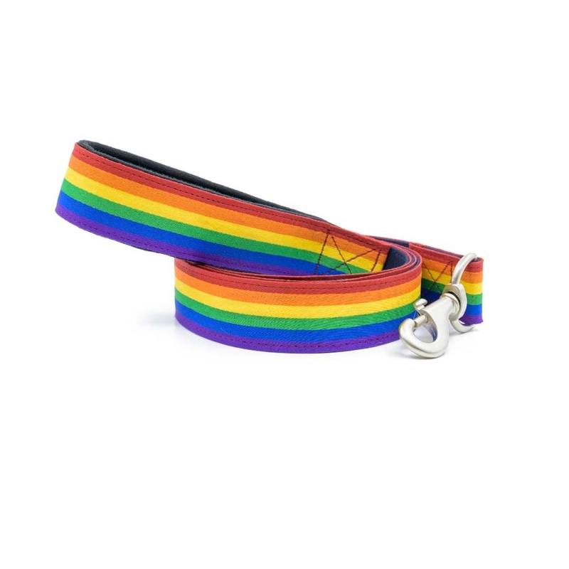 PetWale Leash – Pride|S|M|L
