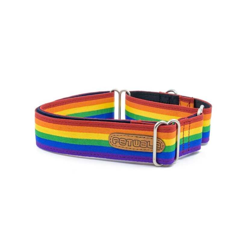 PetWale Martingale Collar – Pride