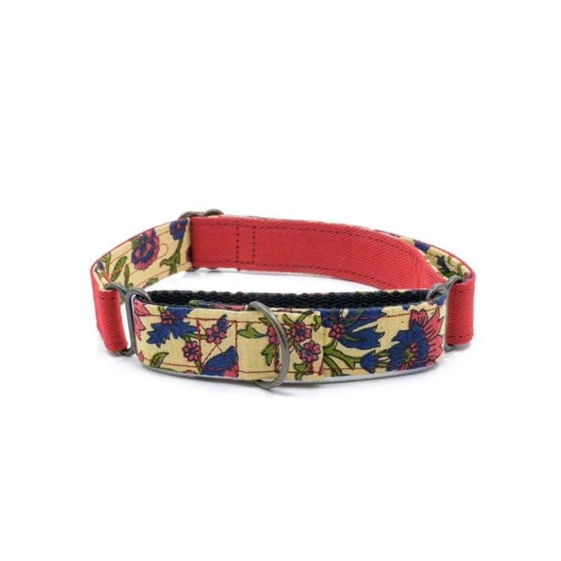 PetWale Martingale Collar – Red