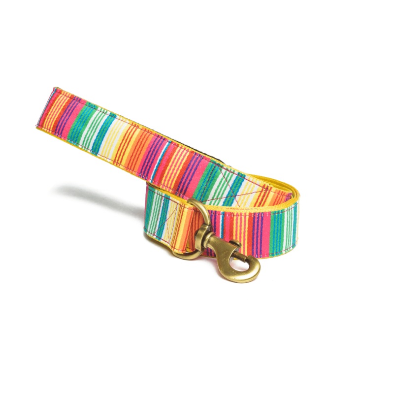 PetWale Leash – Colourful Stripes