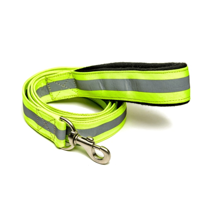 PetWale Leash – Reflective Green