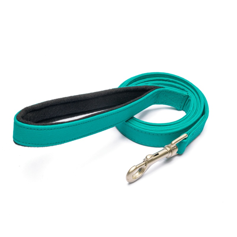 PetWale Leash – Turquoise|S|M|L