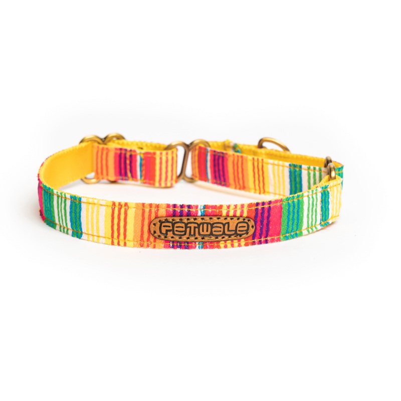 PetWale Martingale Collar – Colourful Stripes