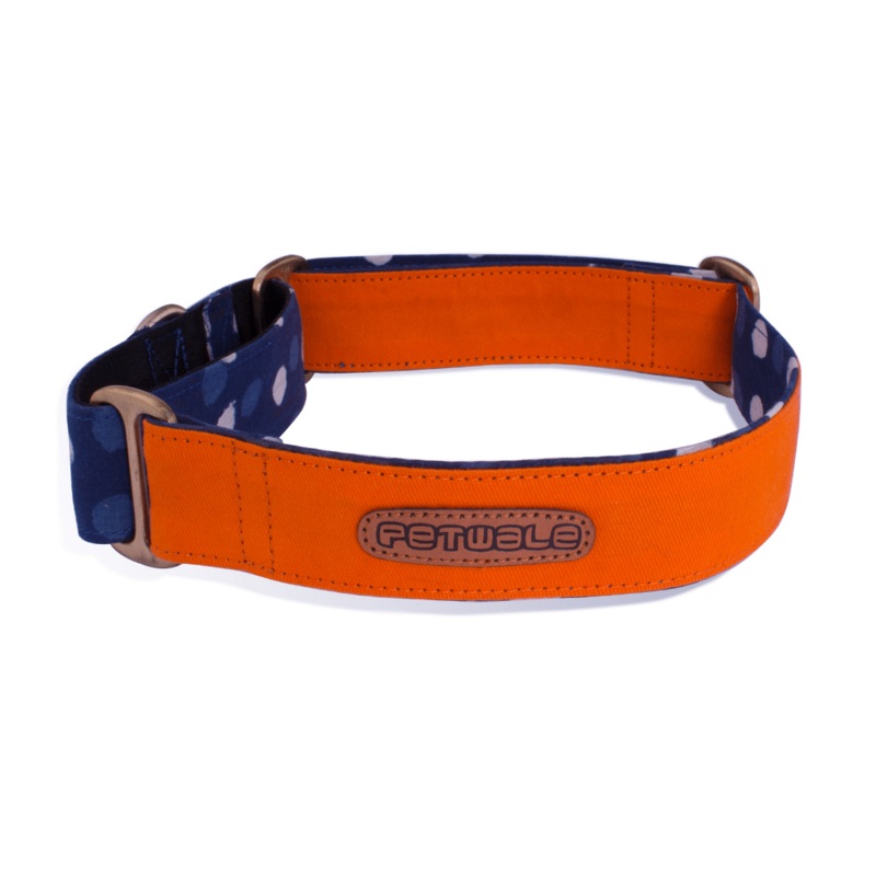 PetWale Martingale Collar – Orange and Blue