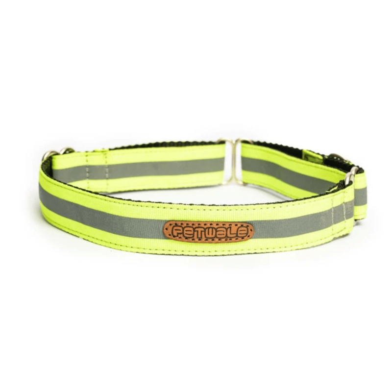 PetWale Martingale Collar – Reflective Green