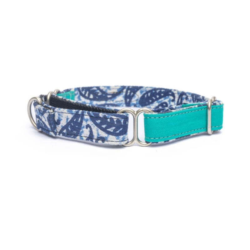 PetWale Martingale Collar – Turquoise