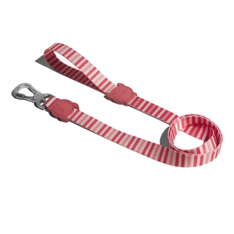 ZeeDog Dog Leash – Peppermint (S)