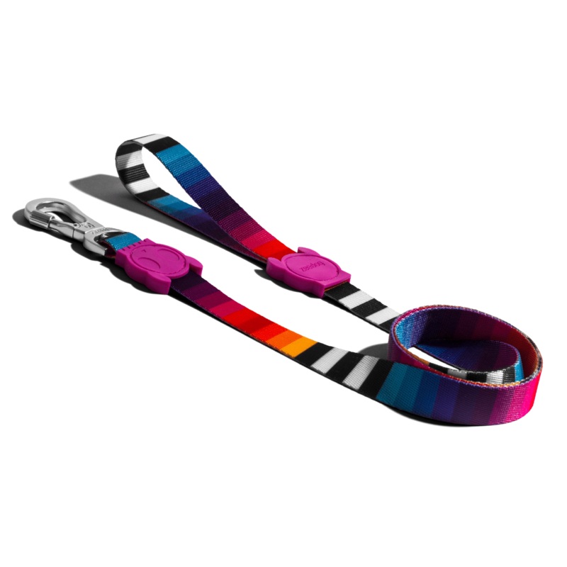 ZeeDog Dog Leash – Prisma|S|L
