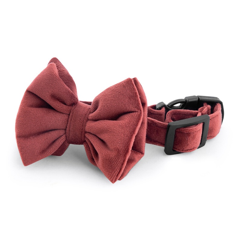 Amaya Dog Bow Tie & Strap – Rustic Orange