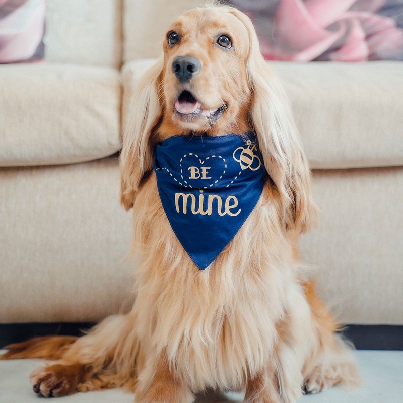 ZL Be Mine Dog Bandana|S|M|L