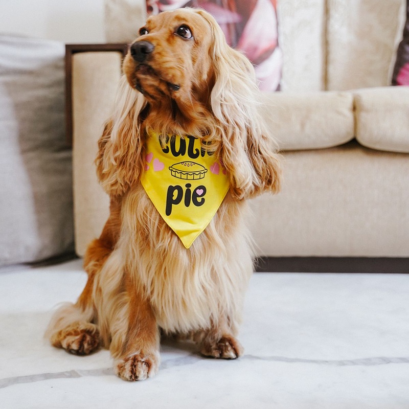 ZL Cutie Pie Dog Bandana|S|M|L