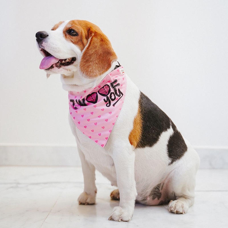 ZL I Woof You Dog Bandana|S|M|L