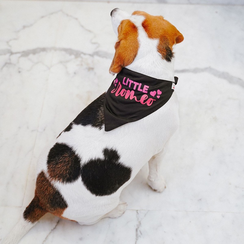 ZL Little Romeo Dog Bandana|S|M|L