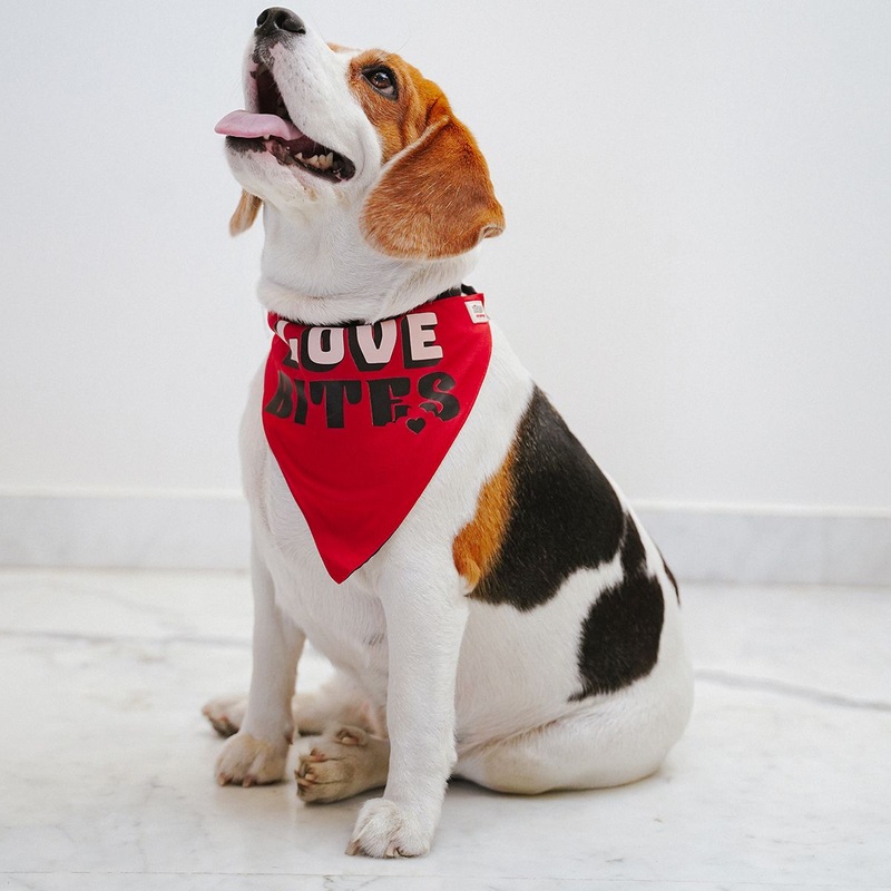 ZL Love Bites Dog Bandana|S|M|L