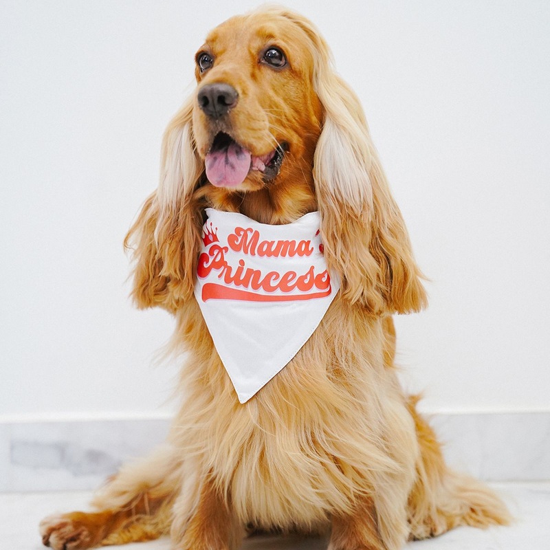ZL Mama’s Princess Dog Bandana