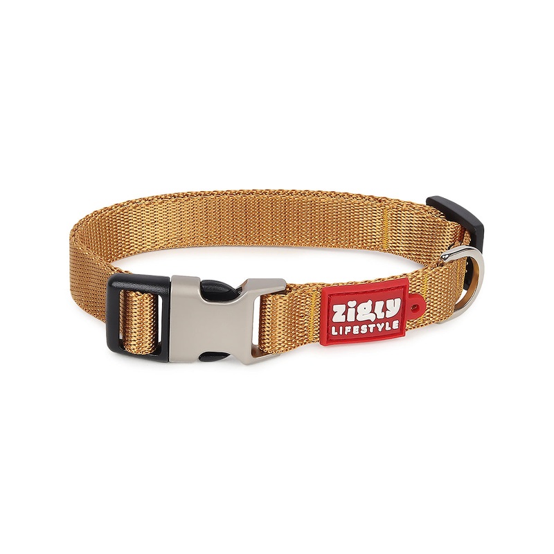 ZL Classic Dog Collar Gold|S|M|L