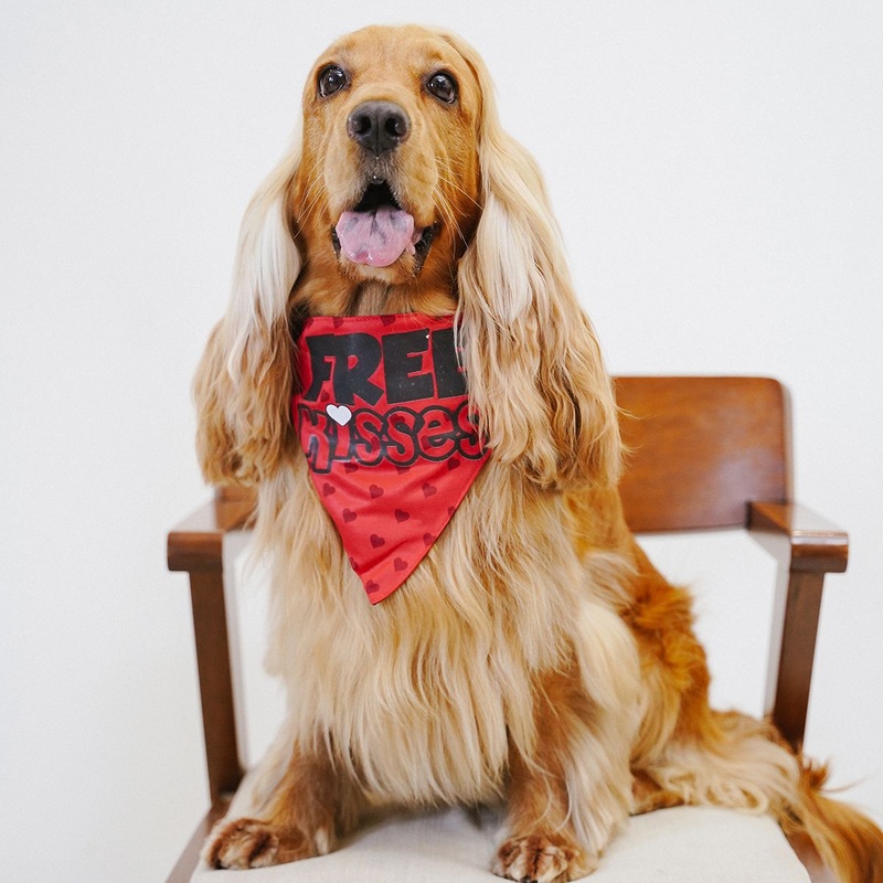 ZL Free Kisses Dog Bandana|S|M|L
