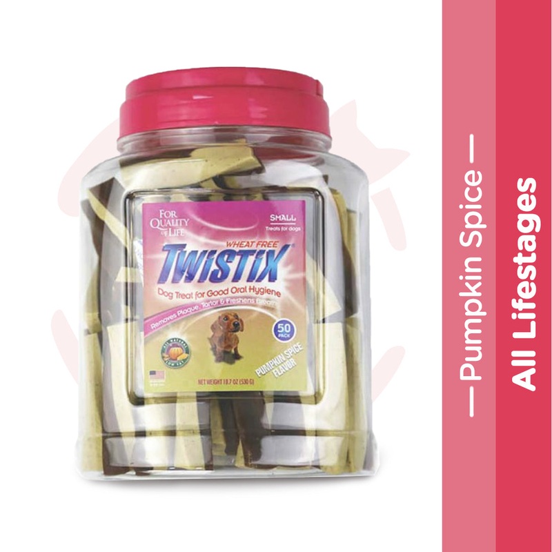 Twistix Canister Pumpkin Spice Small – 50 Sticks