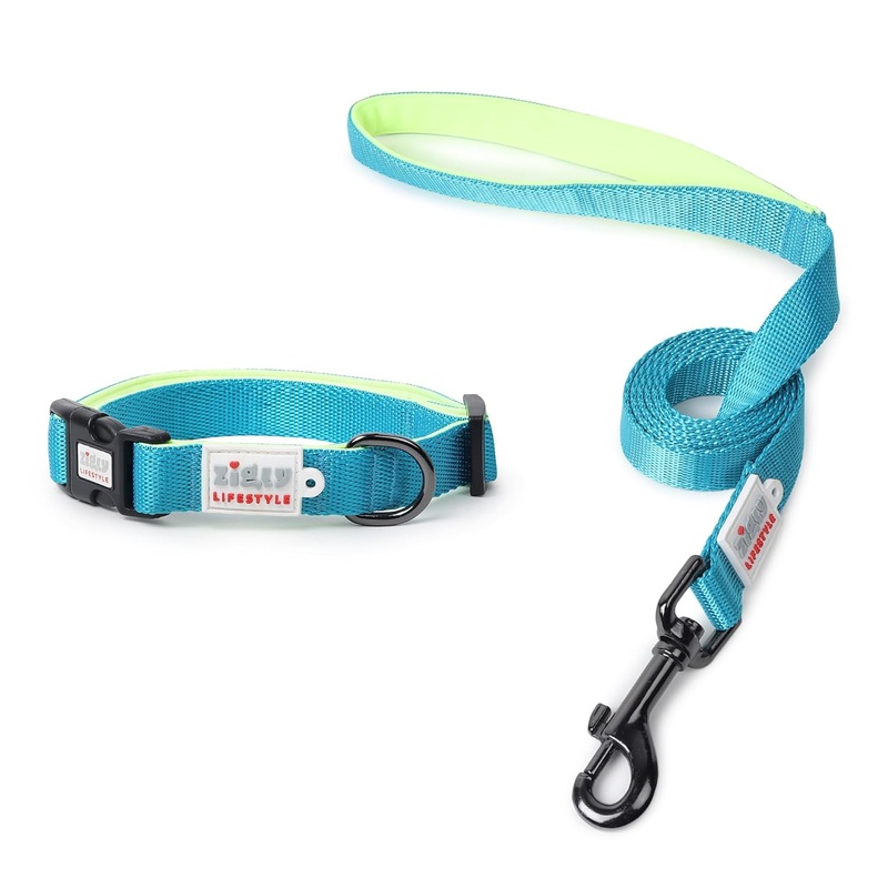 ZL Classic Padded Dog Collar & Leash Set – Neon Green