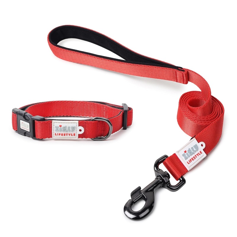ZL Classic Padded Dog Collar & Leash Set – Red