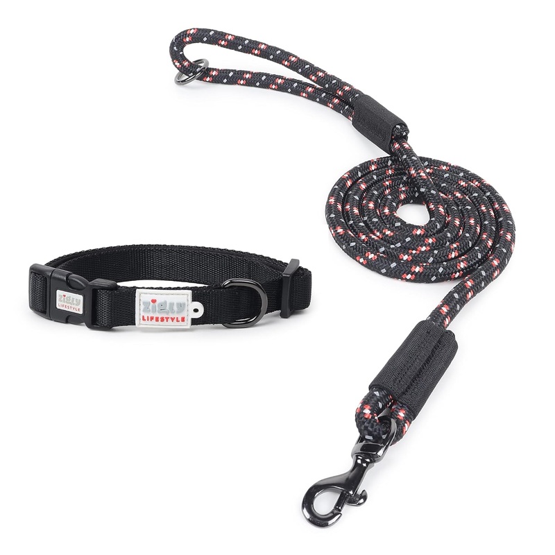 ZL Classic Padded Dog Collar & Refelective Leash Set – Black