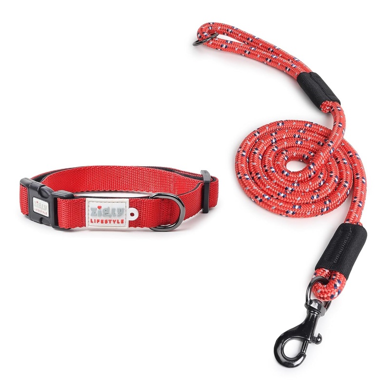 ZL Classic Padded Dog Collar & Refelective Leash Set – Red