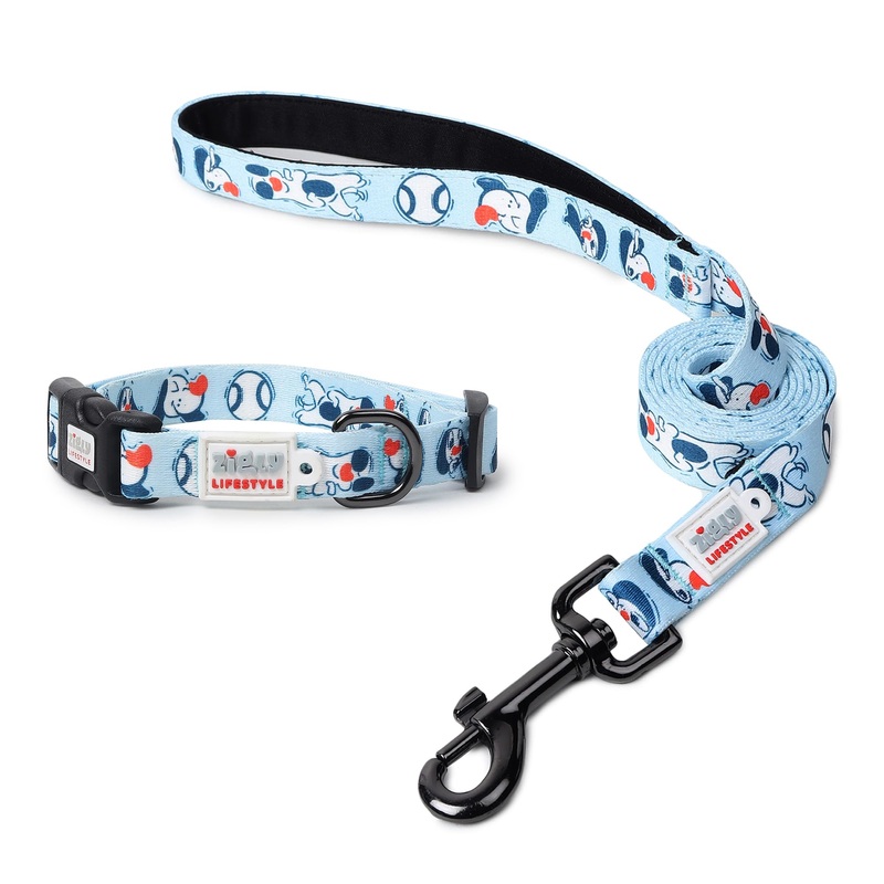 ZL Doodle Dog Collar & Leash Set – Blue