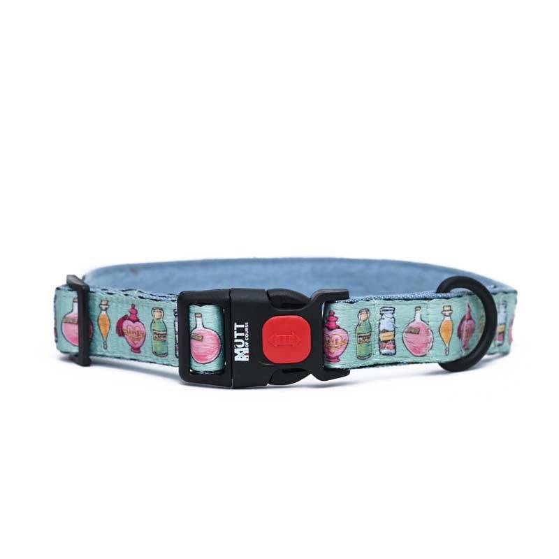 Harry Potter Collar – Potions in Motions Dog Collar