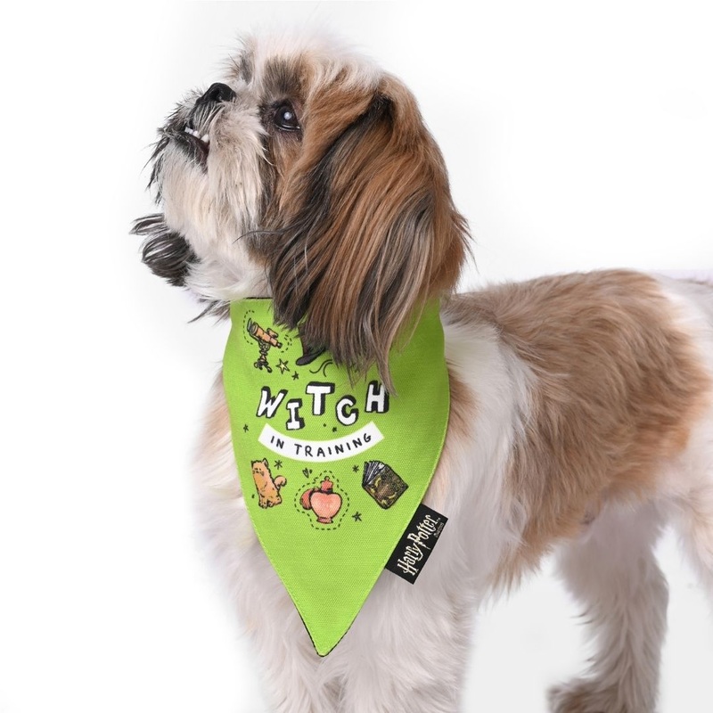 Harry Potter Dog Bandana – Woofy Witch