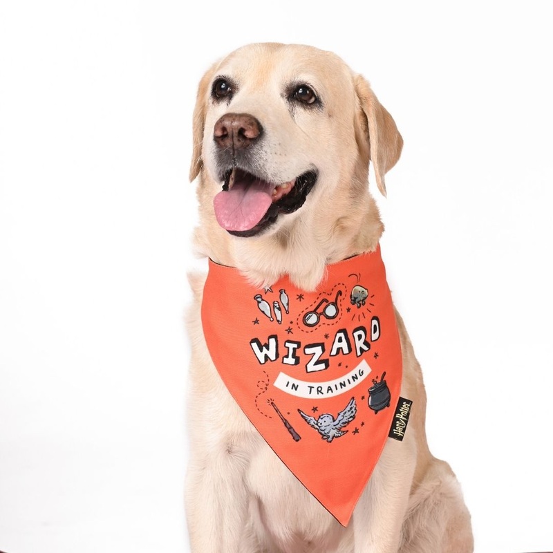 Harry Potter Dog Bandana – Woofy Wizard
