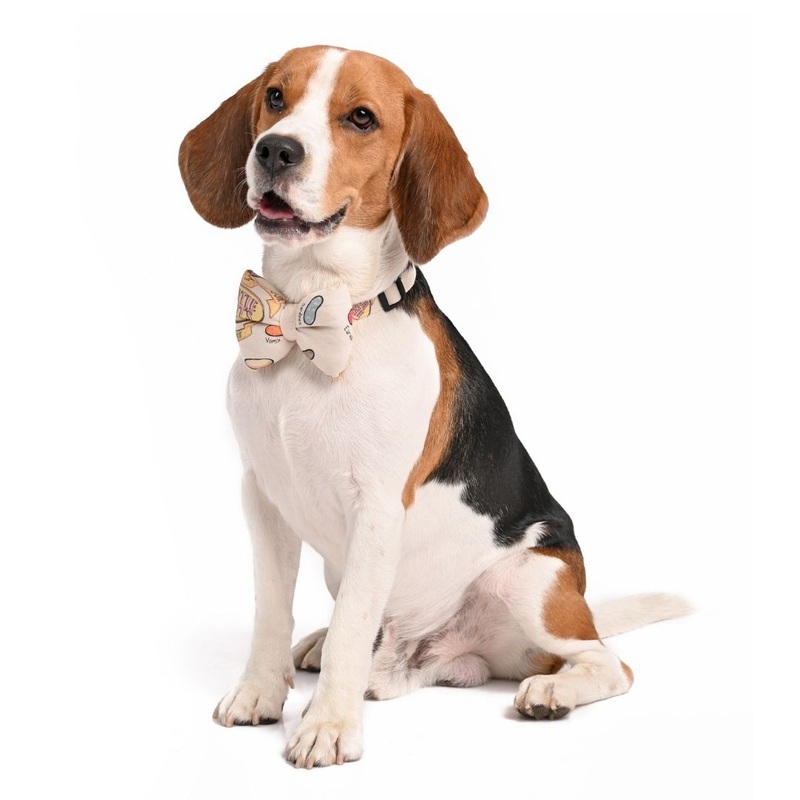 Harry Potter Dog Bow Tie – Every Flavour Beans