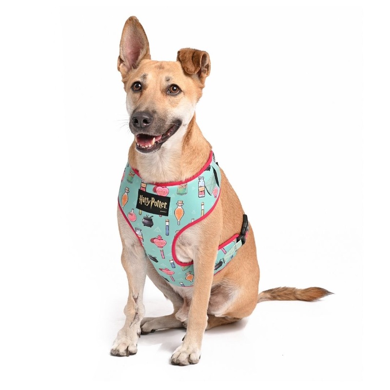 Harry Potter Harness For Cats & Dogs – Potions in Motions Harness