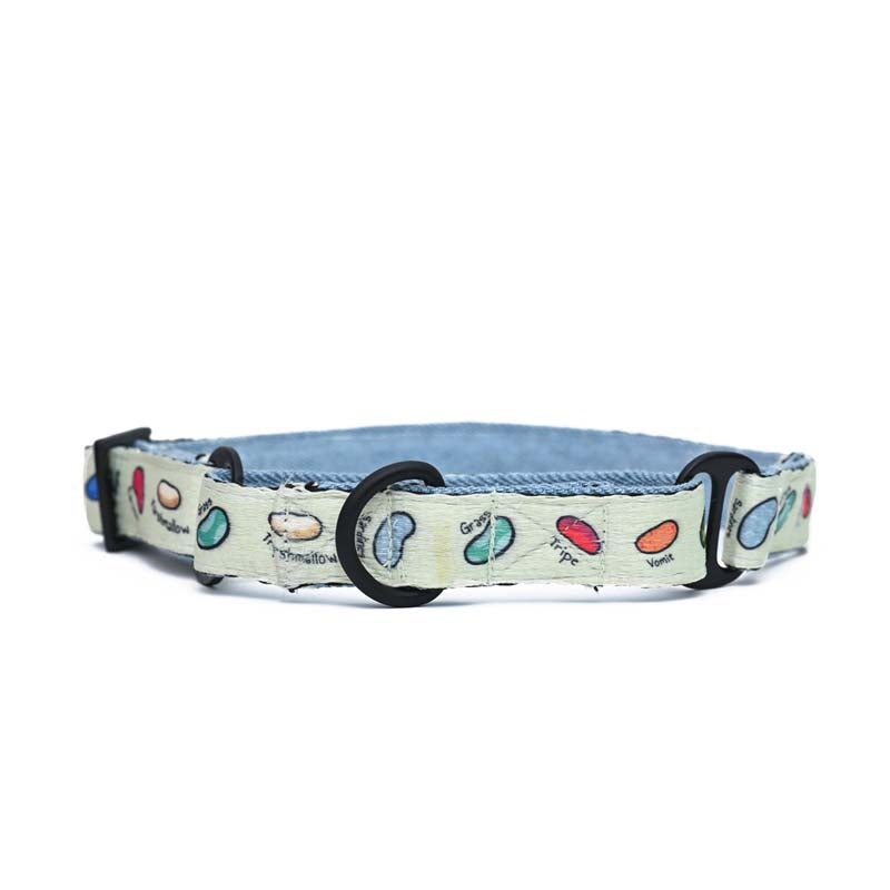 Harry Potter Martingale Collar – Every Flavour Beans Dog Martingale Collar