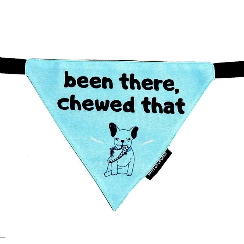 Mutt Of Course Dog Bandana – Been There Chewed That