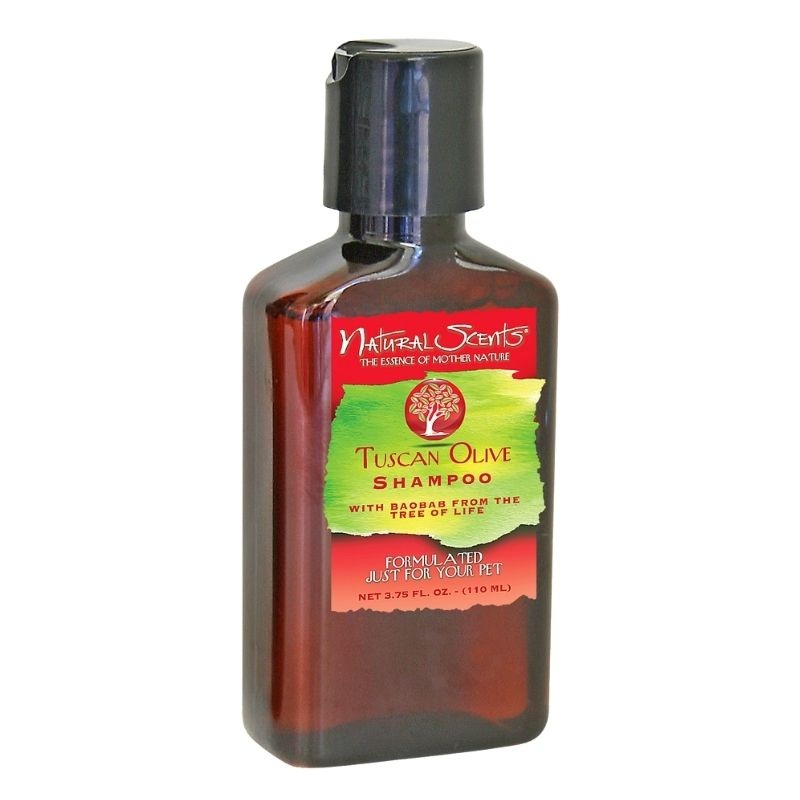 Bio-groom Natural Scents Shampoo for Dogs – Tuscan Olive (110ml)