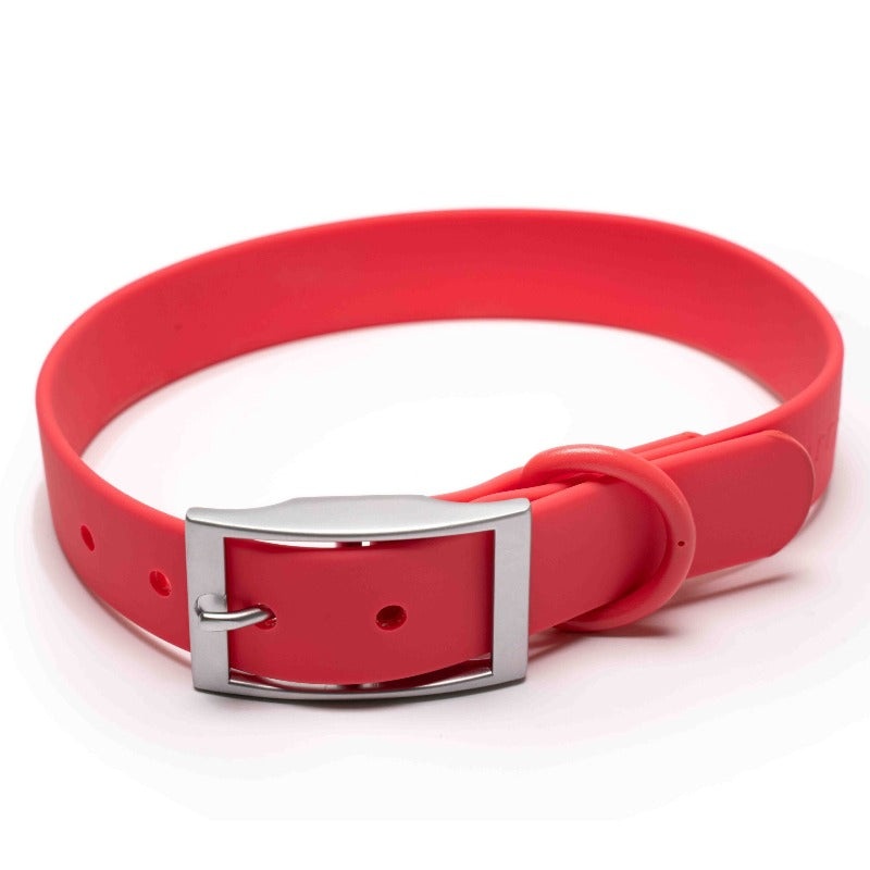 Furry&Co – Waterproof Bold Collar for Dogs