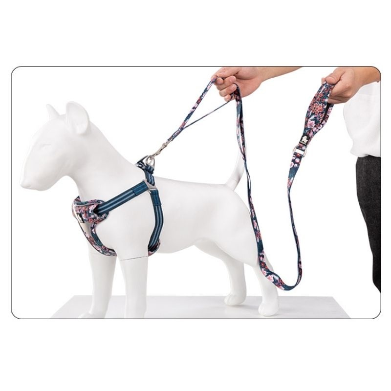True Love Floral Leashes for Dogs – Navy Blazer