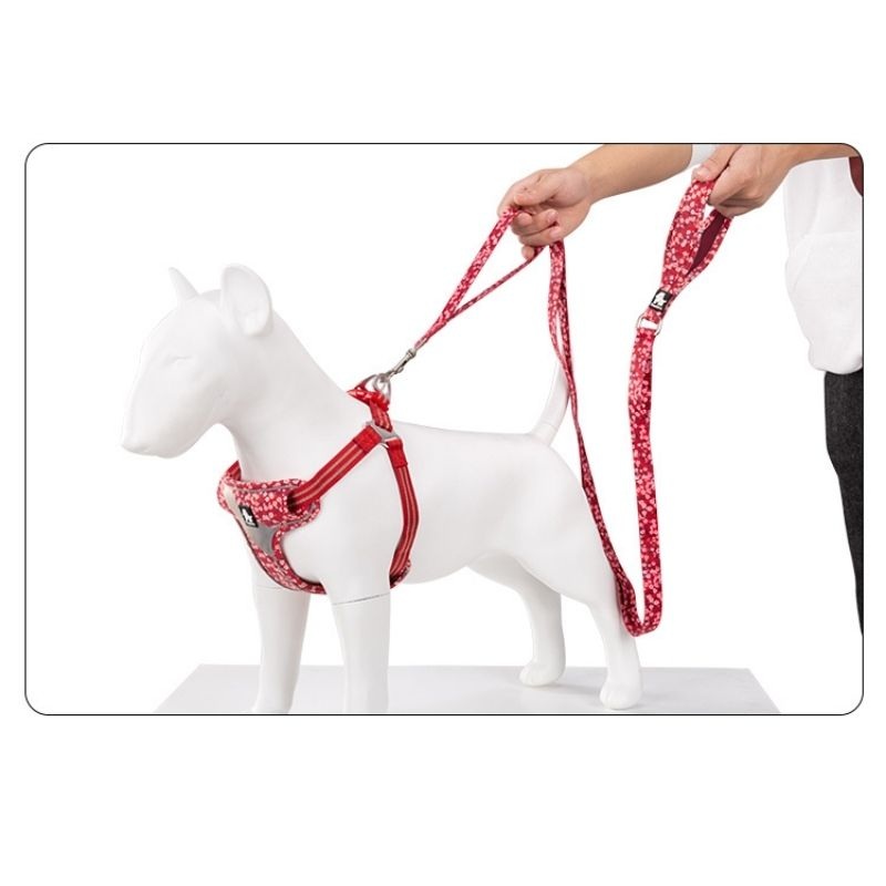 True Love Floral Leashes for Dogs – Poppy Red