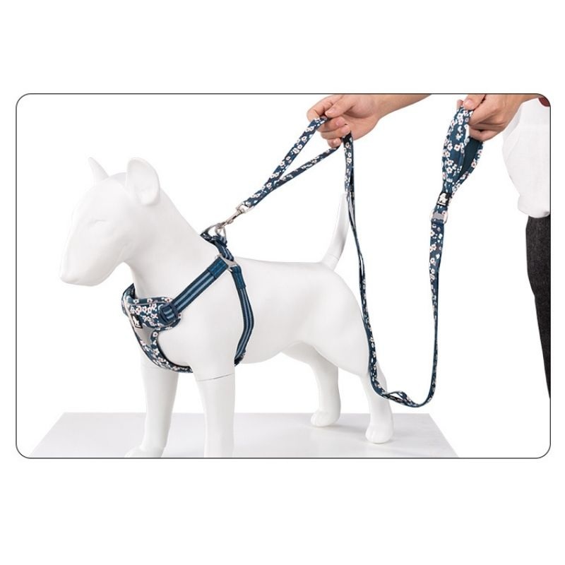 True Love Floral Leashes for Dogs – Saxone Blue