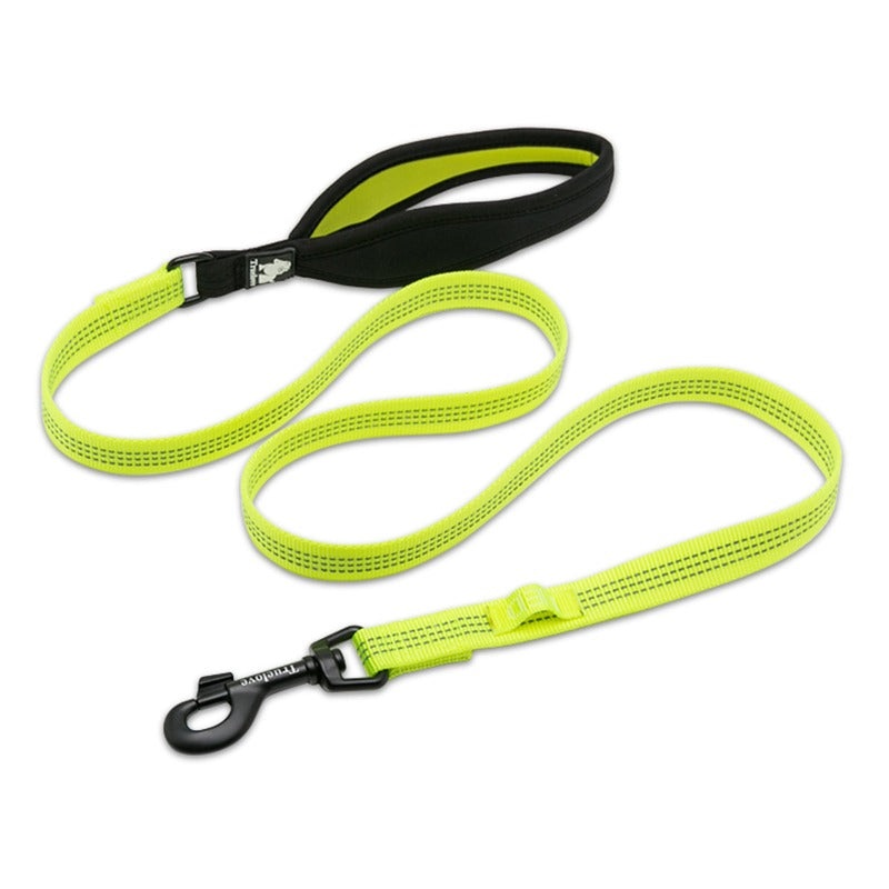 True Love Leashes for Dogs – Nylon