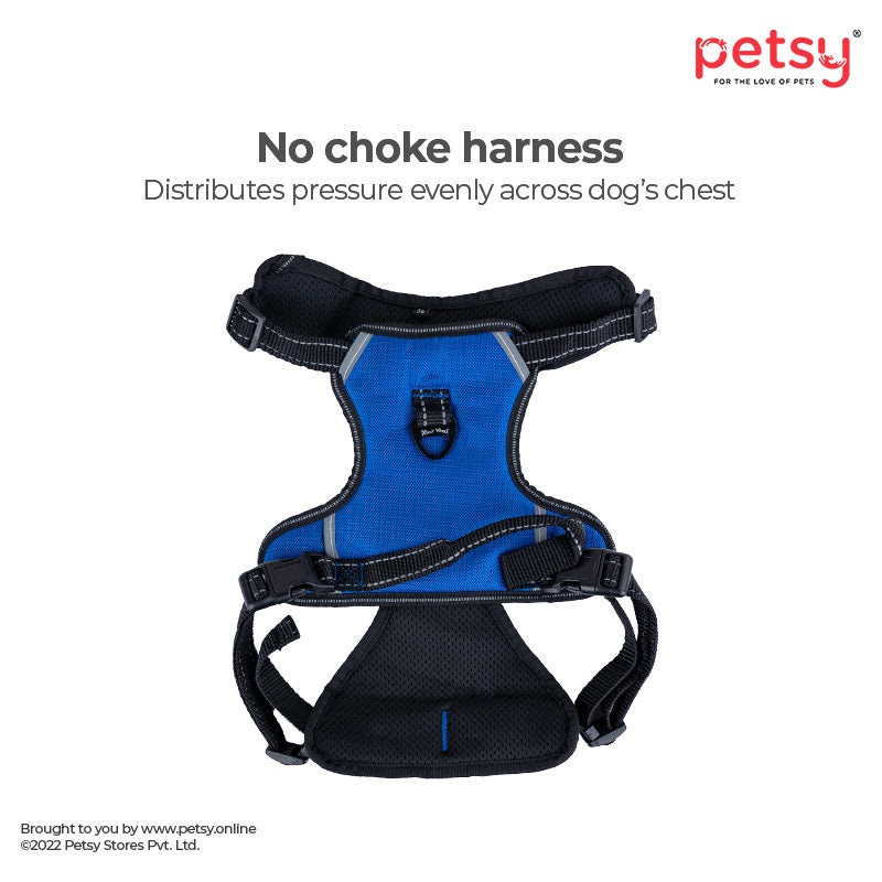 Whoof Whoof Harnesses for Dogs – Double Padded P Series – Royal Blue (XL)