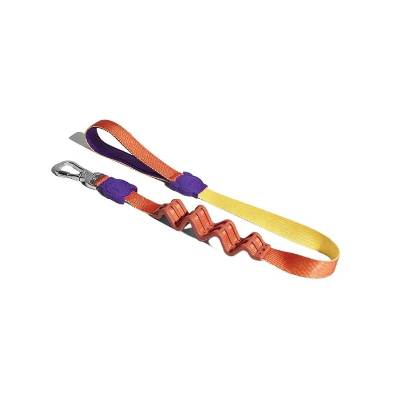 ZeeDog Ruff Leash for Dogs – Pump (Small)