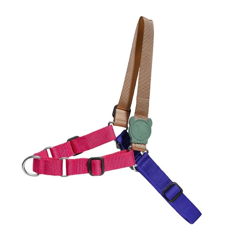 ZeeDog Soft-Walk Harness for Dogs – Yucca