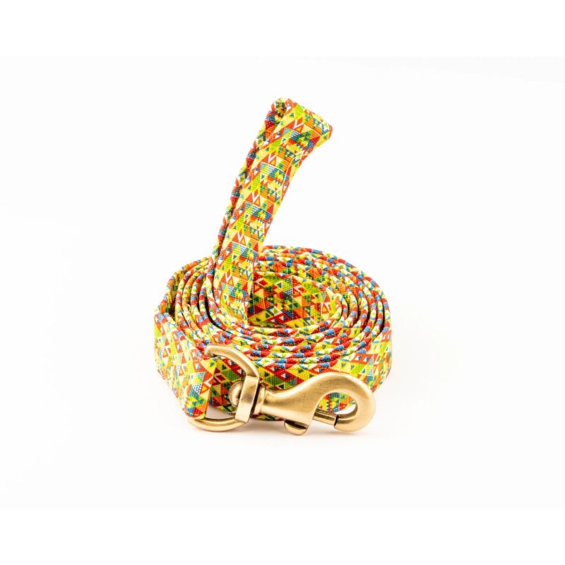 Furbuddies Leash For Dogs – Viva La Vibrance Canvas Leash (5ft)