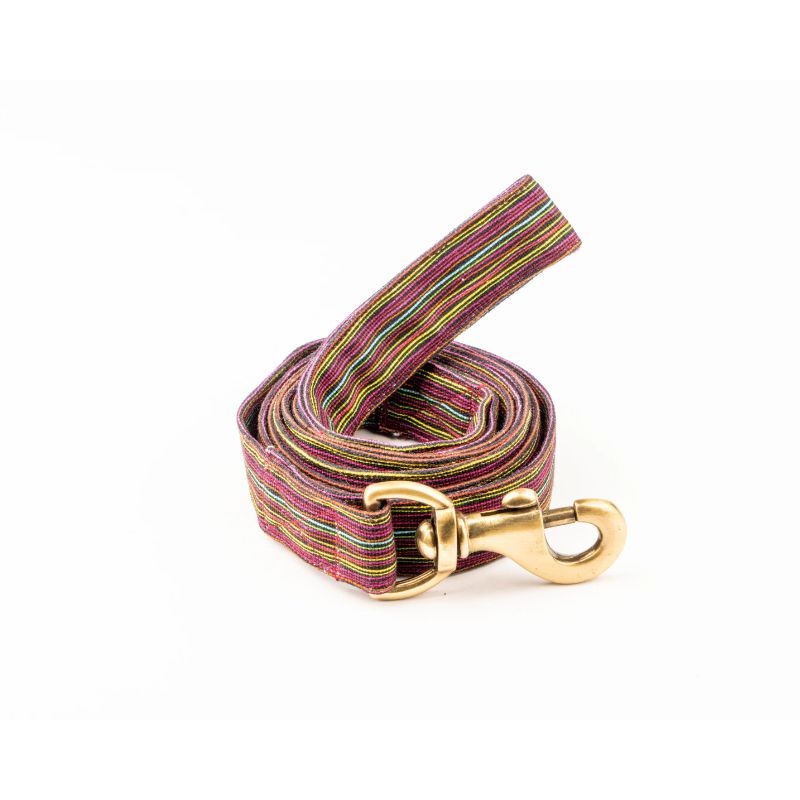 Furbuddies Leash For Dogs – Wiggle Waggle Canvas Leash (5ft)