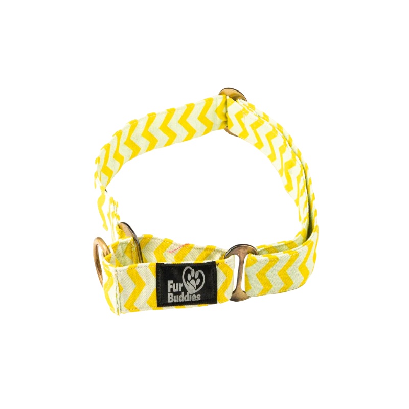 Furbuddies Martingale Collar For Dogs – Citrus Chevron Canvas