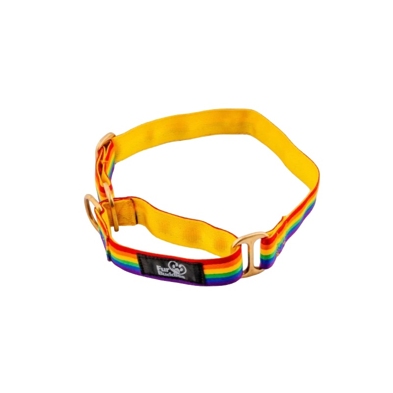 Furbuddies Martingale Collar For Dogs – Dhanak