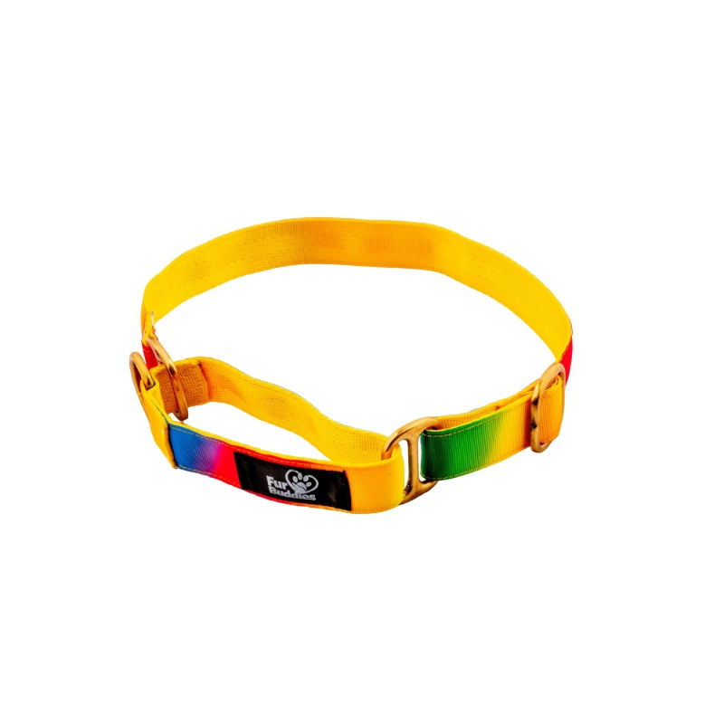 Furbuddies Martingale Collar For Dogs – Firdouz
